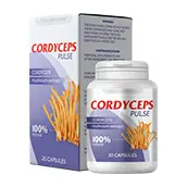 Cordyceps pulse
